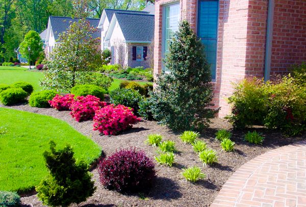 landscaping of your yard (6)