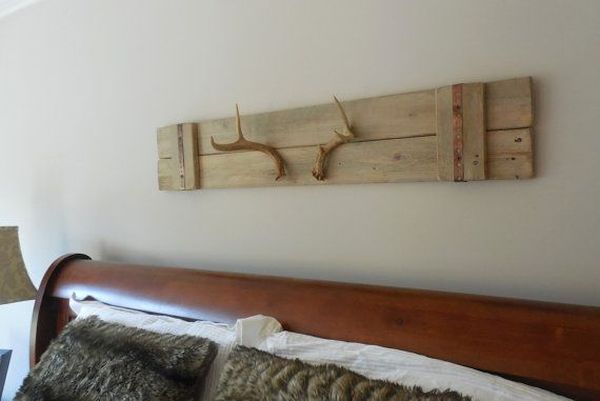 Antler Wall Art