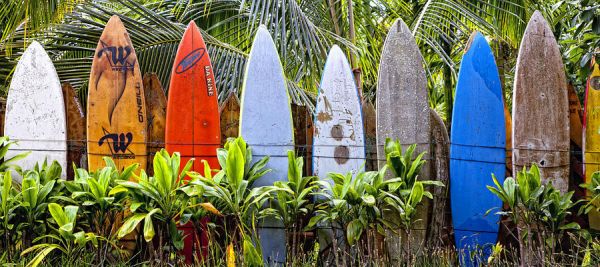 Surfboard fence