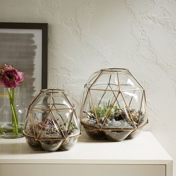 Brass Terrariums