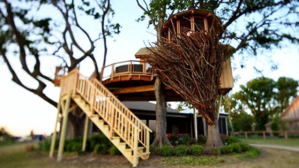 Bird Nest Treehouse