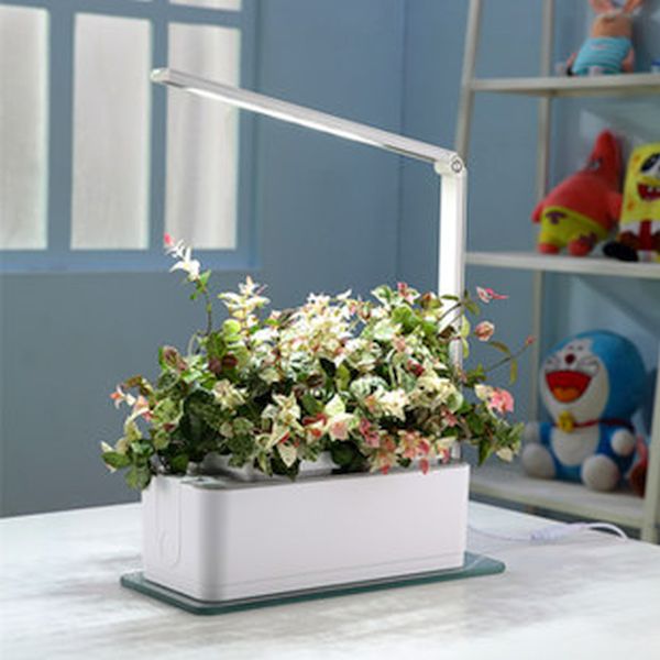 Mini Smart flowerpots