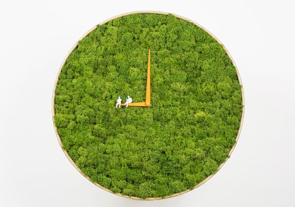 Moss Clock