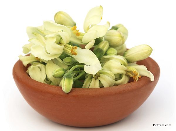 Edible moringa flower on a brown bowl over white backgrokund