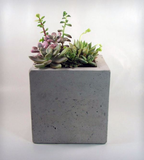 cement-planter