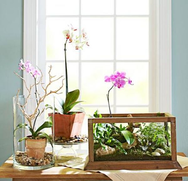 indoor-plant-display-ideas-3