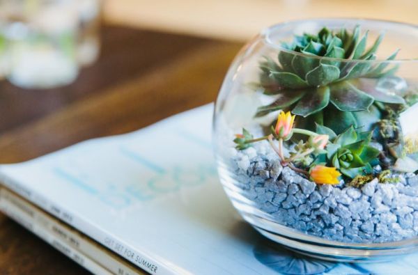 pair-up-smaller-terrariums