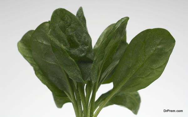 spinach