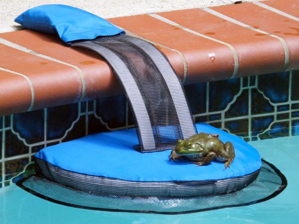 Pool Critter Escape Ramp