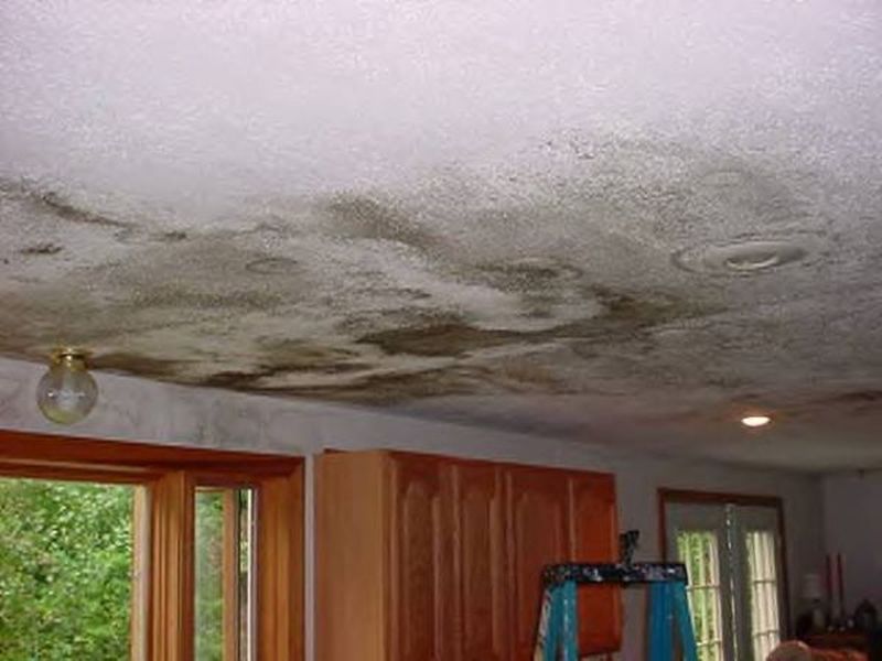 How to choose the best water damage restoration company
