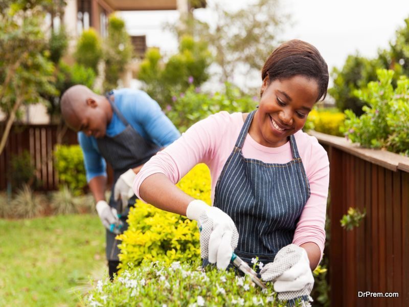 Start a Garden