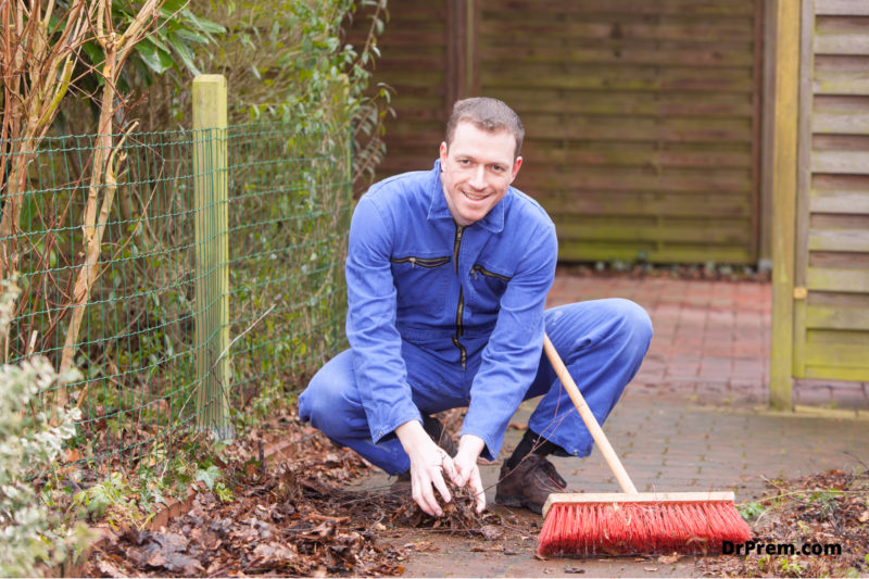 Clean your backyard