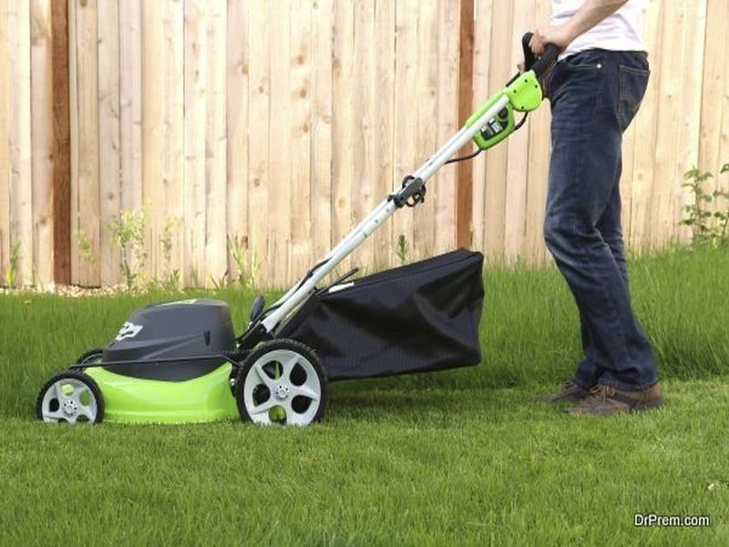 Mow the lawn