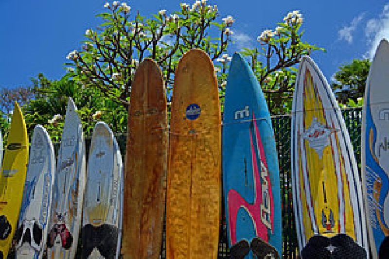 Old-surfboard-fence