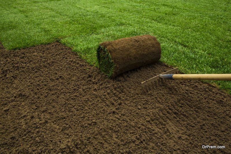 investing-in-a-turf-lawn