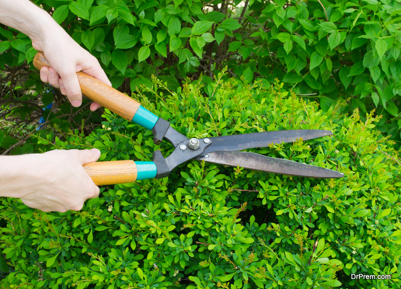 5 Garden Tools That Are A Must Have For Any Gardener
