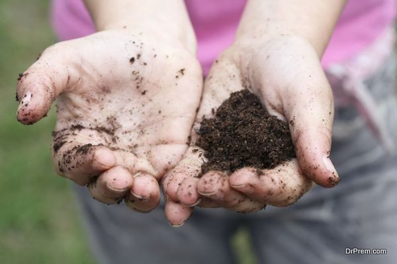 Preventing Compacted Soil