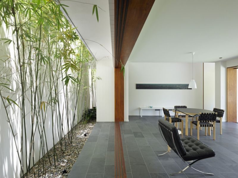 bamboo in interior design as an indoor garden