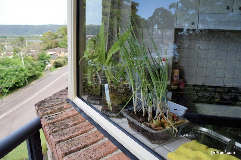 Indoor herb garden