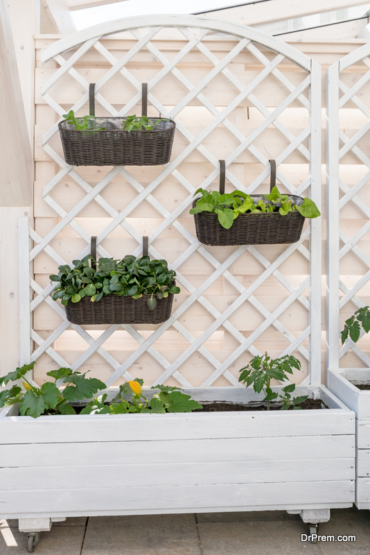 Vertical-Lettuce-Planter-Idea.