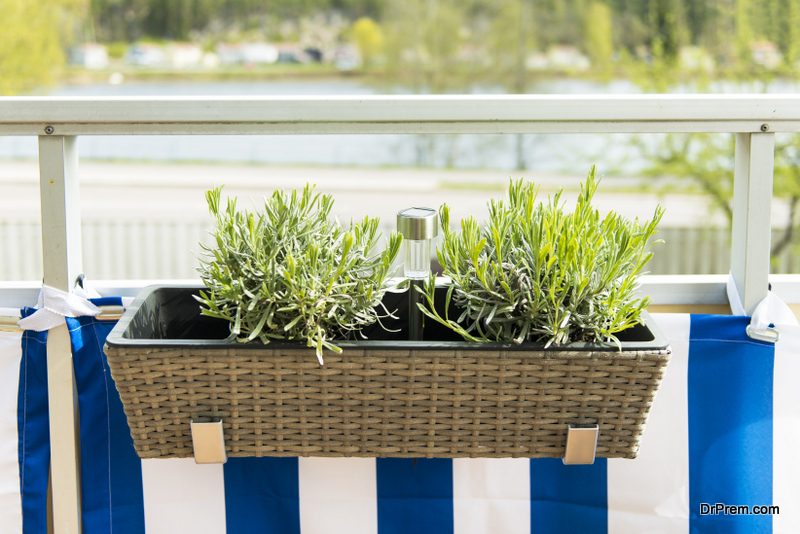 Window-Box-Herb-Garden