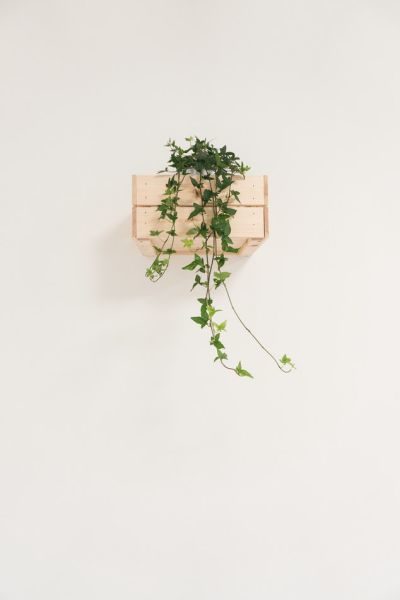 Make vertical gardens