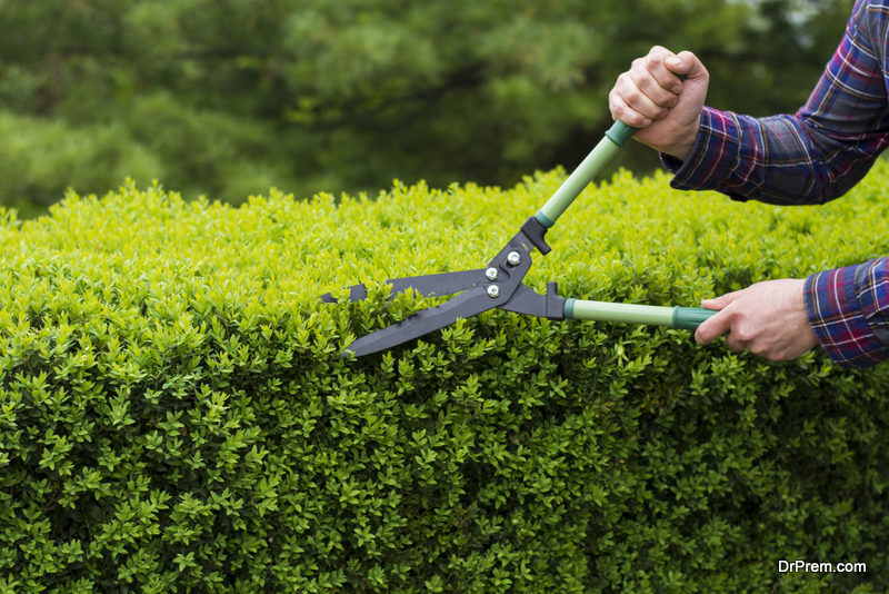 trimming