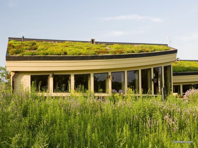 Think about a living roof