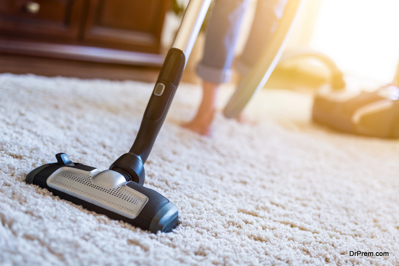 Professional Carpet Cleaning Services