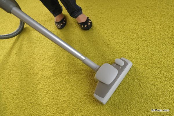 Professional Carpet Cleaning Services