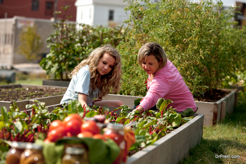 Plant a vegetable garden