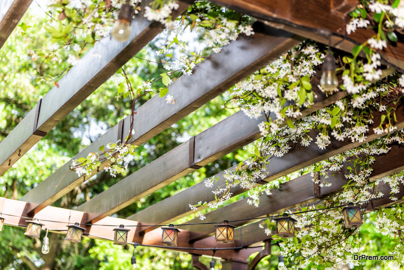 backyard Pergola