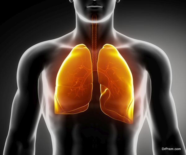 lungs are susceptible to scarring and inflammation
