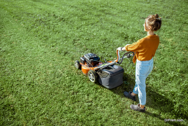 Eco-Friendly Landscaping Ideas for Your Lawn