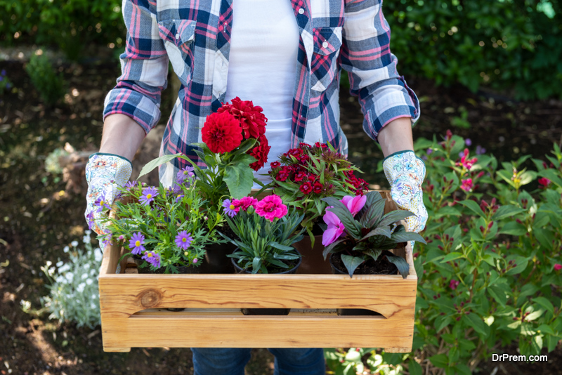 woman-holding-Native-Plants