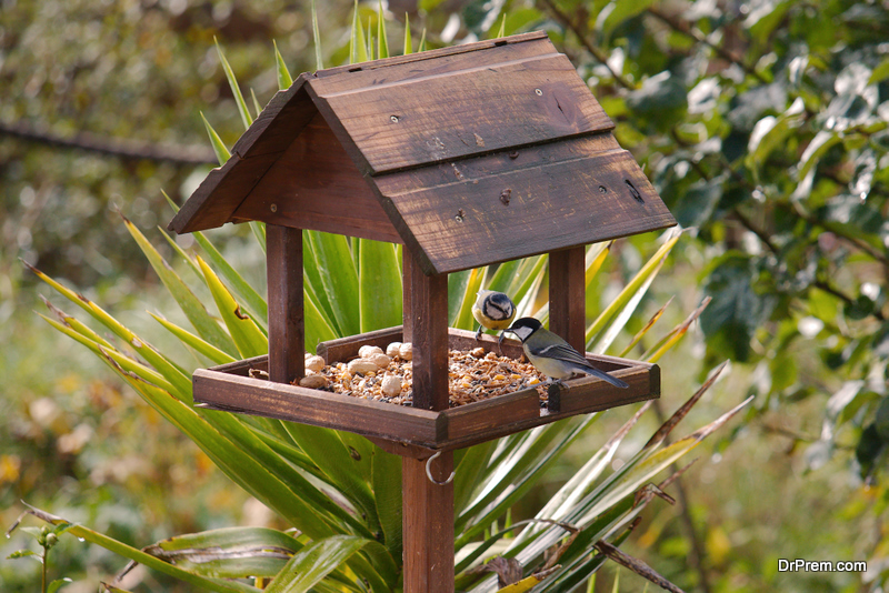 FEEDER in-backyard