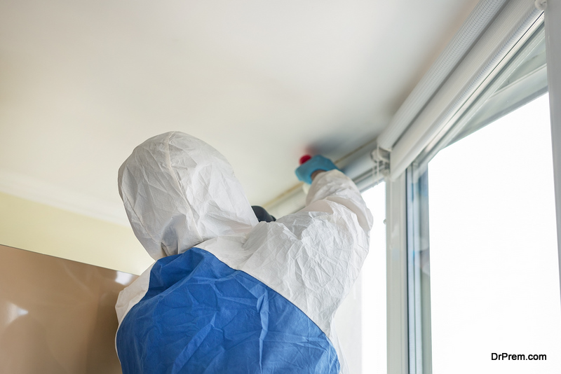 Benefits of San Diego Mold Remediation Services