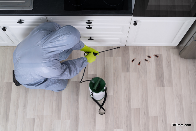 Pest Control Solutions