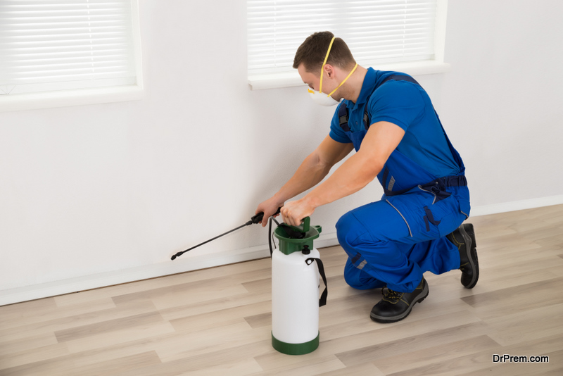 You Need Professional Pest Control Services