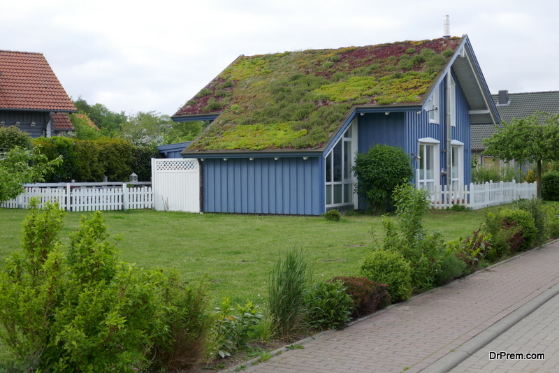 Green Roofing