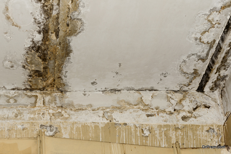 Water Damage to property