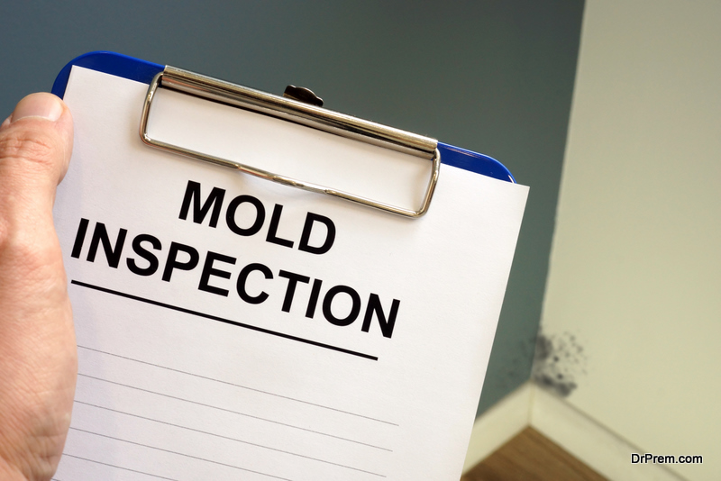 Documents about mold inspection