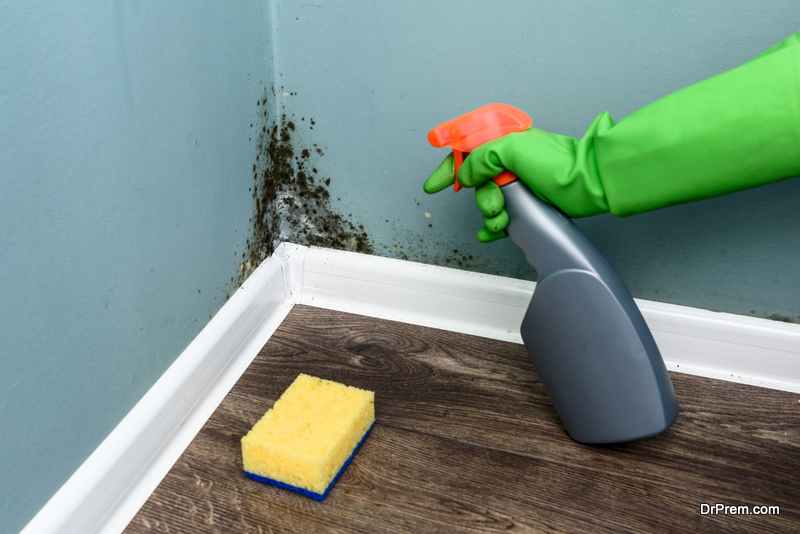 Removing Mold from Home