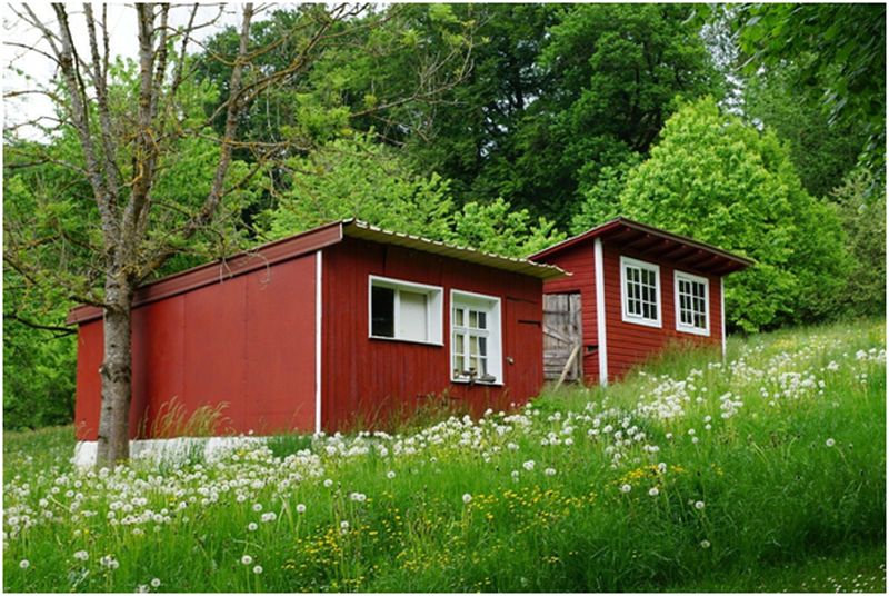 Sustainable Alternatives to Traditional Housing