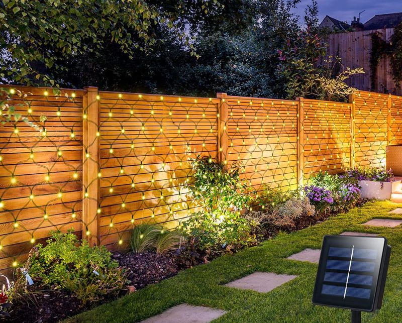 Illuminate Your Garden Differently to Everyone Else