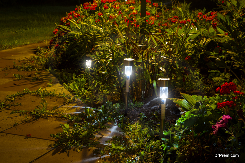 illuminated garden