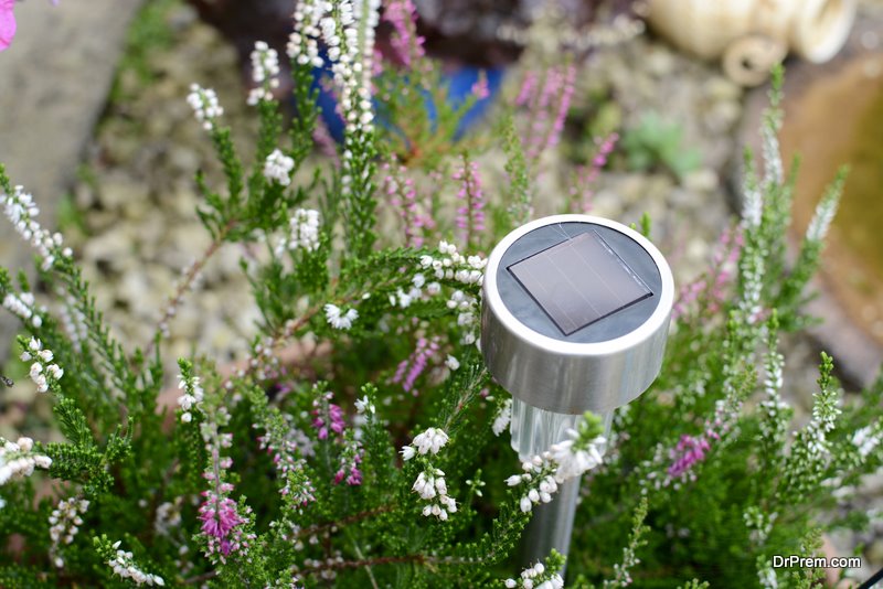 solar light in the garden