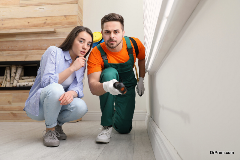Pest Control Tips for Your New Home