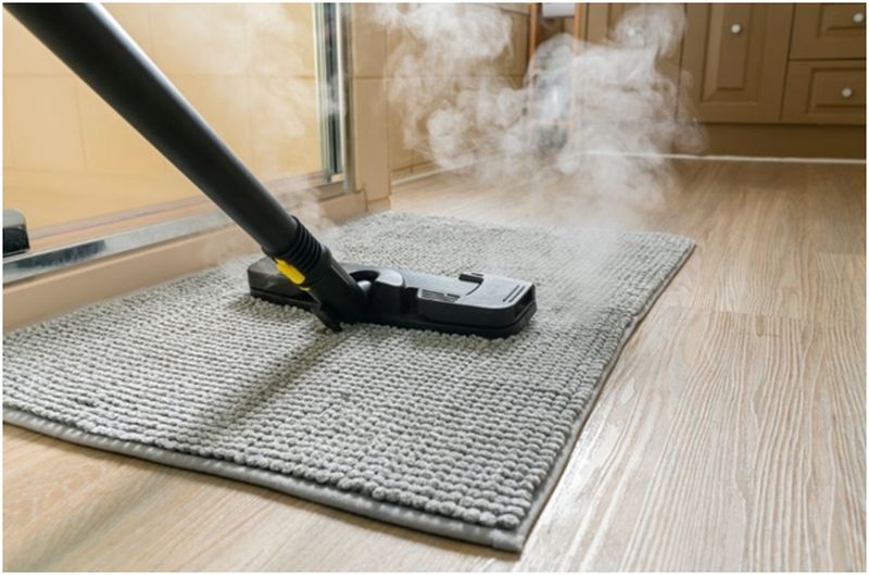 Services of a Carpet Cleaner