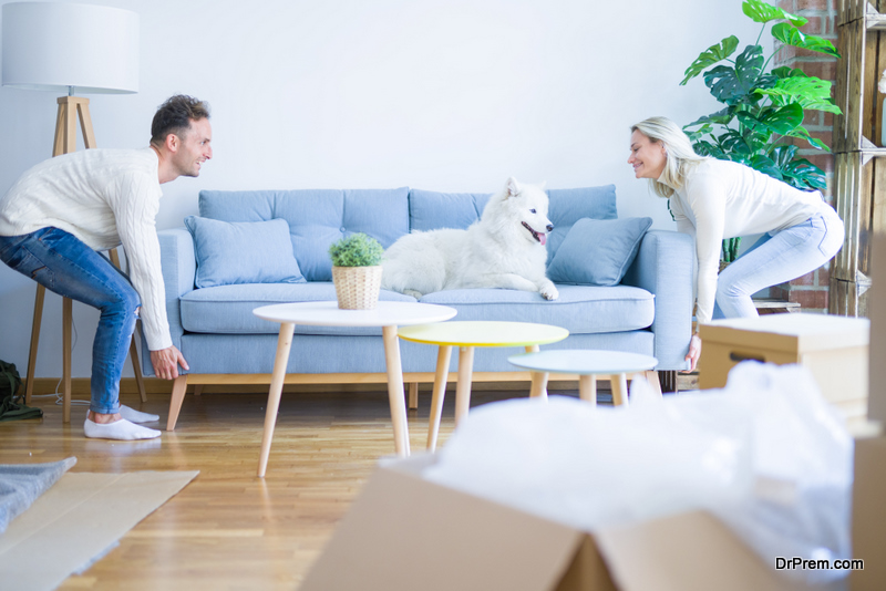 Young beautiful couple with animal moving sofa at home 